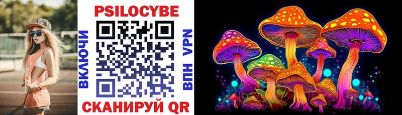 Псилоцибиновые грибы мицелий  нарко площадка как зайти  Озёрск  omg зеркало 